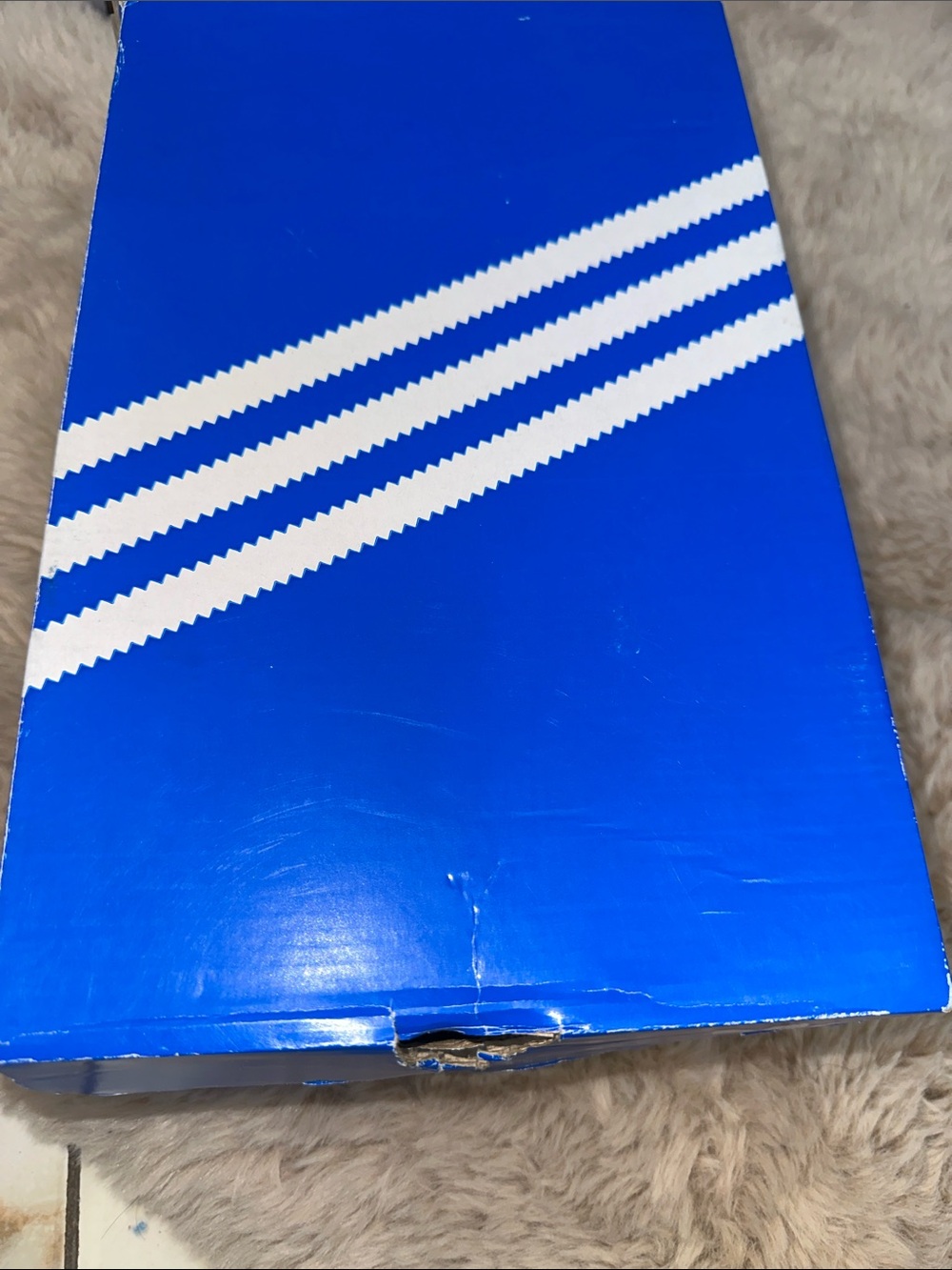 adidas White Sneakers with Mint Green Stripes and Gum Sole - Picture 14 of 14